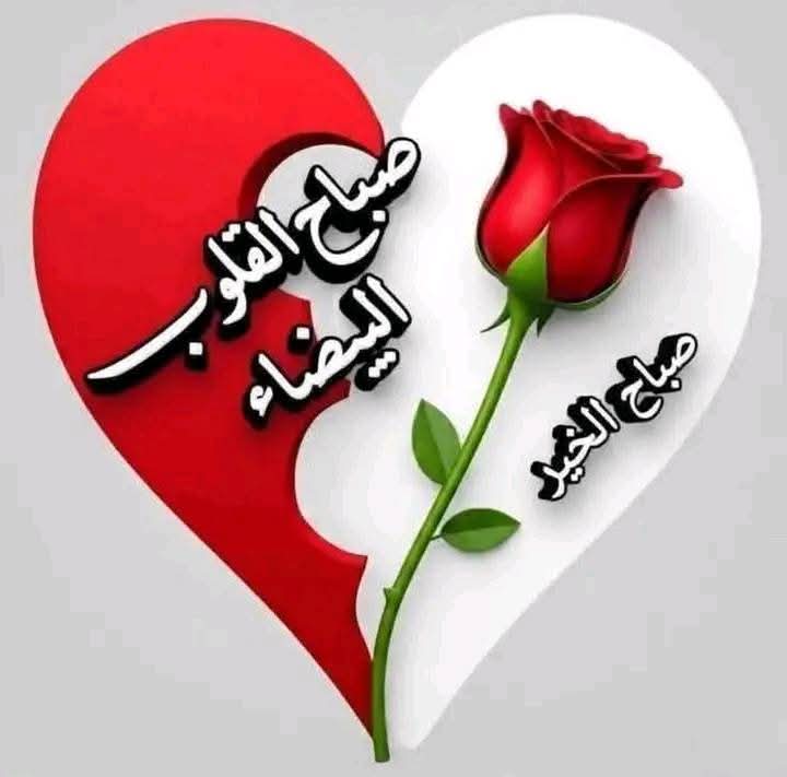 سمر عاطف tweet media