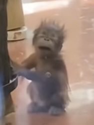 whaleinskye's tweet image. #help