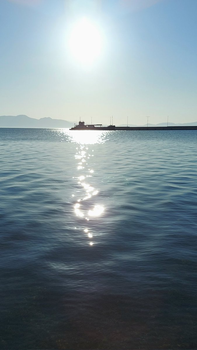 vasilis p tweet media