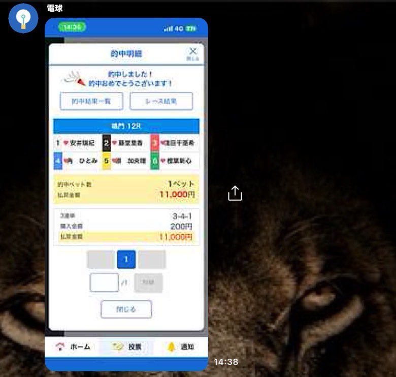 KING👑プロ競艇予想※無料予想はオプチャから tweet media