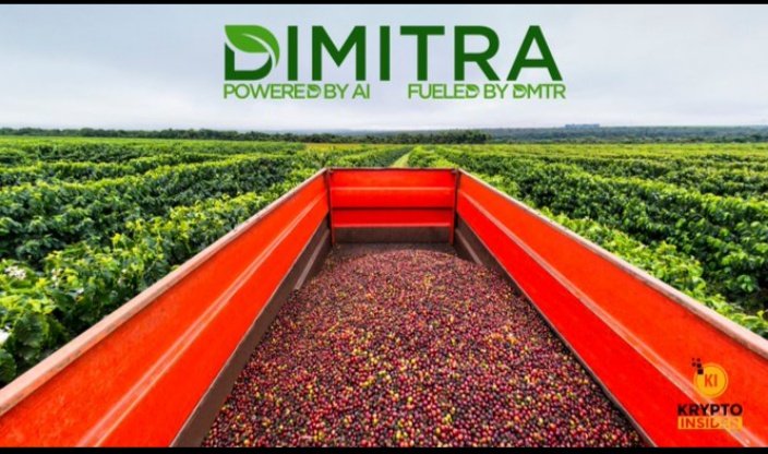 tagwireyih's tweet image. $DMTR Dimitra combines #AI, IoT &amp;amp; #blockchain to solve real Agriculture problems:
🫱Supply chain traceability
🫱Sustainability incentives for farmers in form of carbon credits
🫱#EUDR &amp;amp; #ESG compliance processing 
$DMTR is infrastructure for the future of food @dimitratech
$BTC