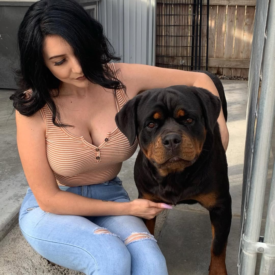 Sophia k9 💦 🐾🐕 tweet media