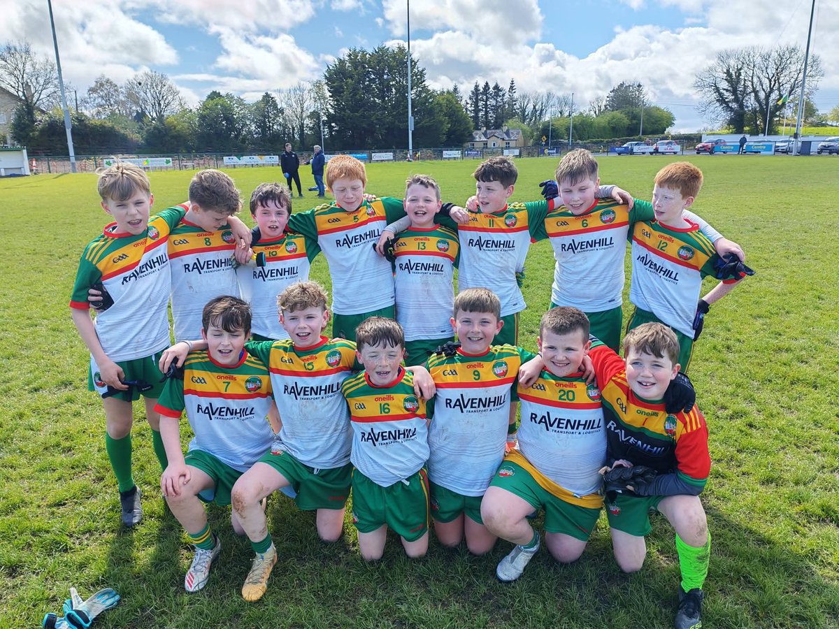 Ballinamere/Durrow GAA, LGFA & Camogie tweet media