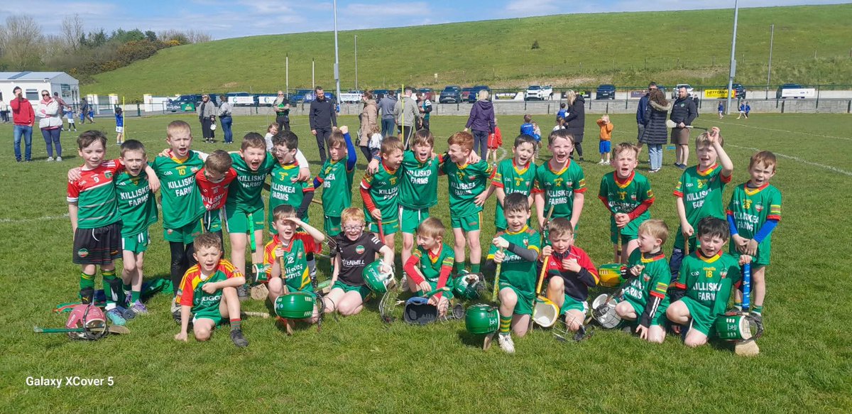 Ballinamere/Durrow GAA, LGFA & Camogie tweet media