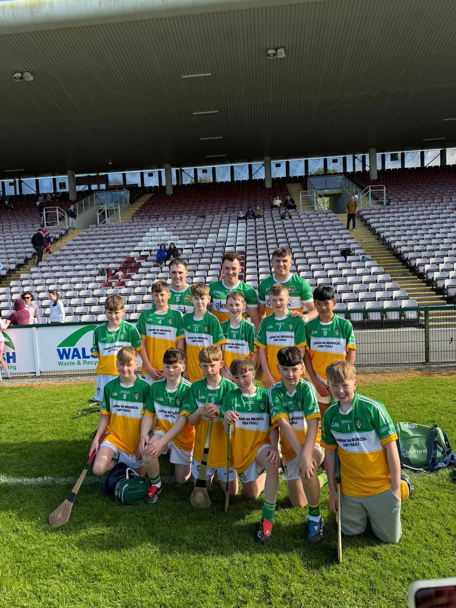 Ballinamere/Durrow GAA, LGFA & Camogie tweet media