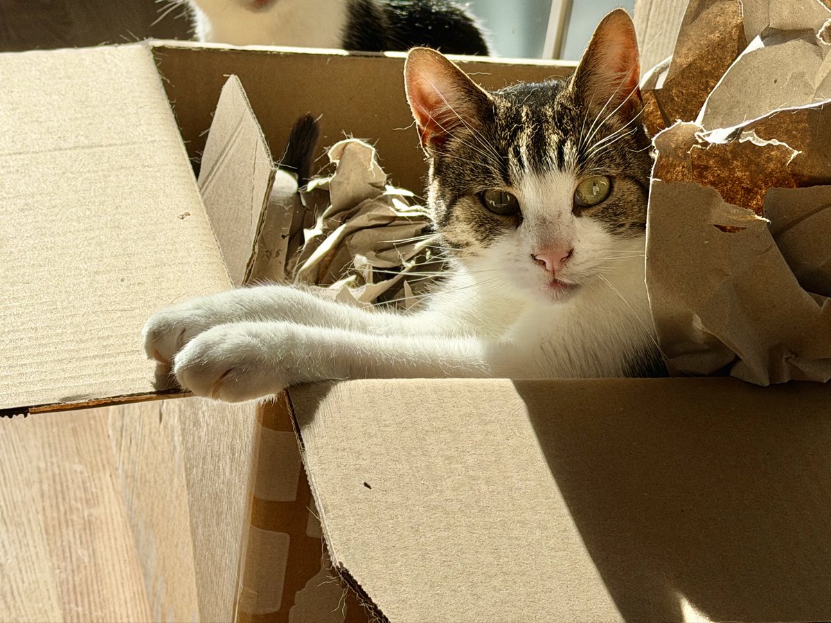 Laufmädel tweet media