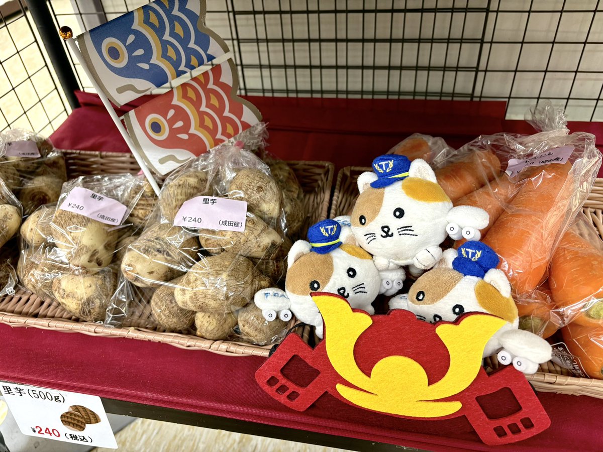 東京シティエアターミナル(T-CAT/ティーキャット) tweet media