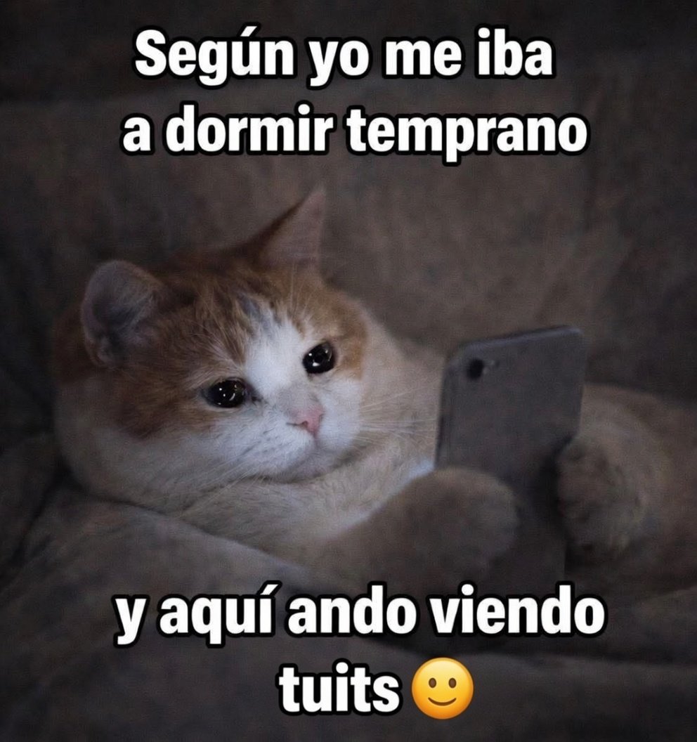 Cap Briagowsky tweet media