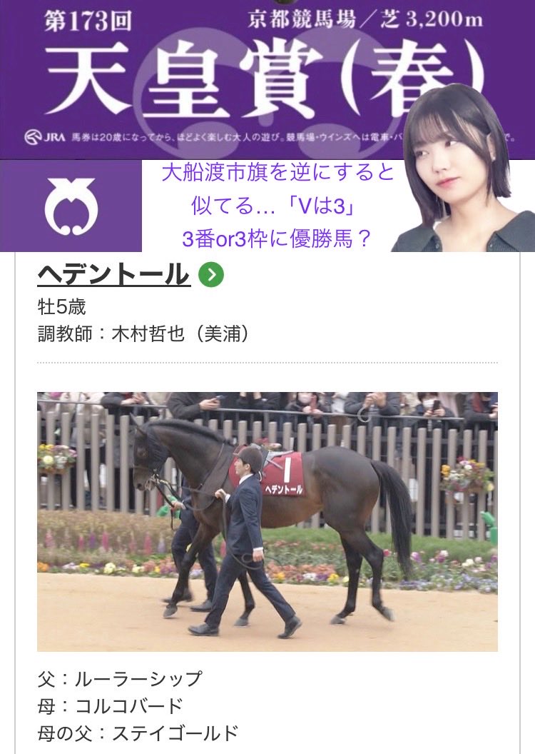 初めて買った馬券はシンボリルドルフが優勝した #天皇賞春 枠連的中し