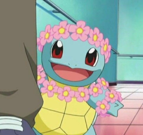 Pokémon Posts tweet media