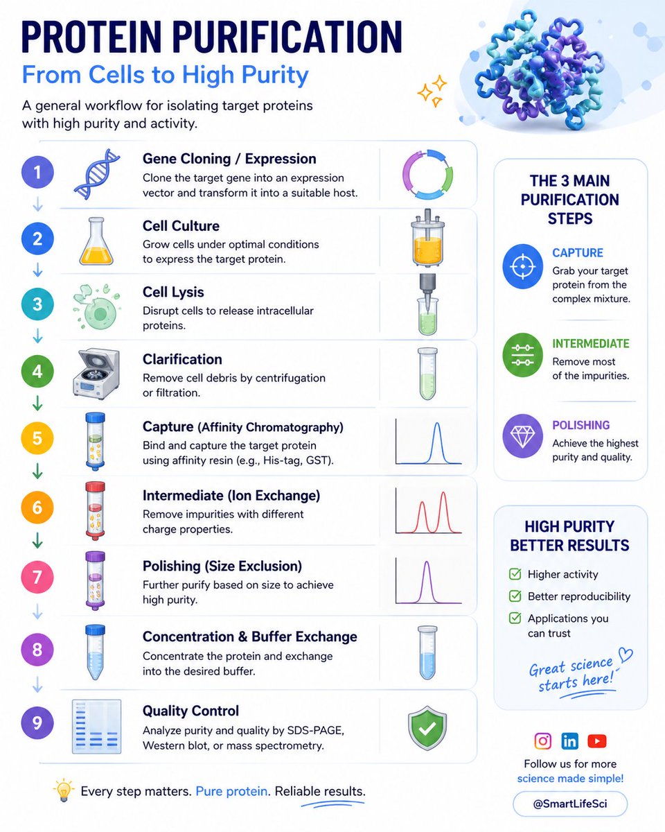 SmartLifeSci's tweet photo. Protein purification made simple.
From capture to polishing, every step impacts your final result.
Are you optimizing your workflow?
Follow us for more insights into protein research 🧬
@SmartLifeSci
#Biotech #ProteinScience #LabLife https://t.co/3lh4UXGcjv
