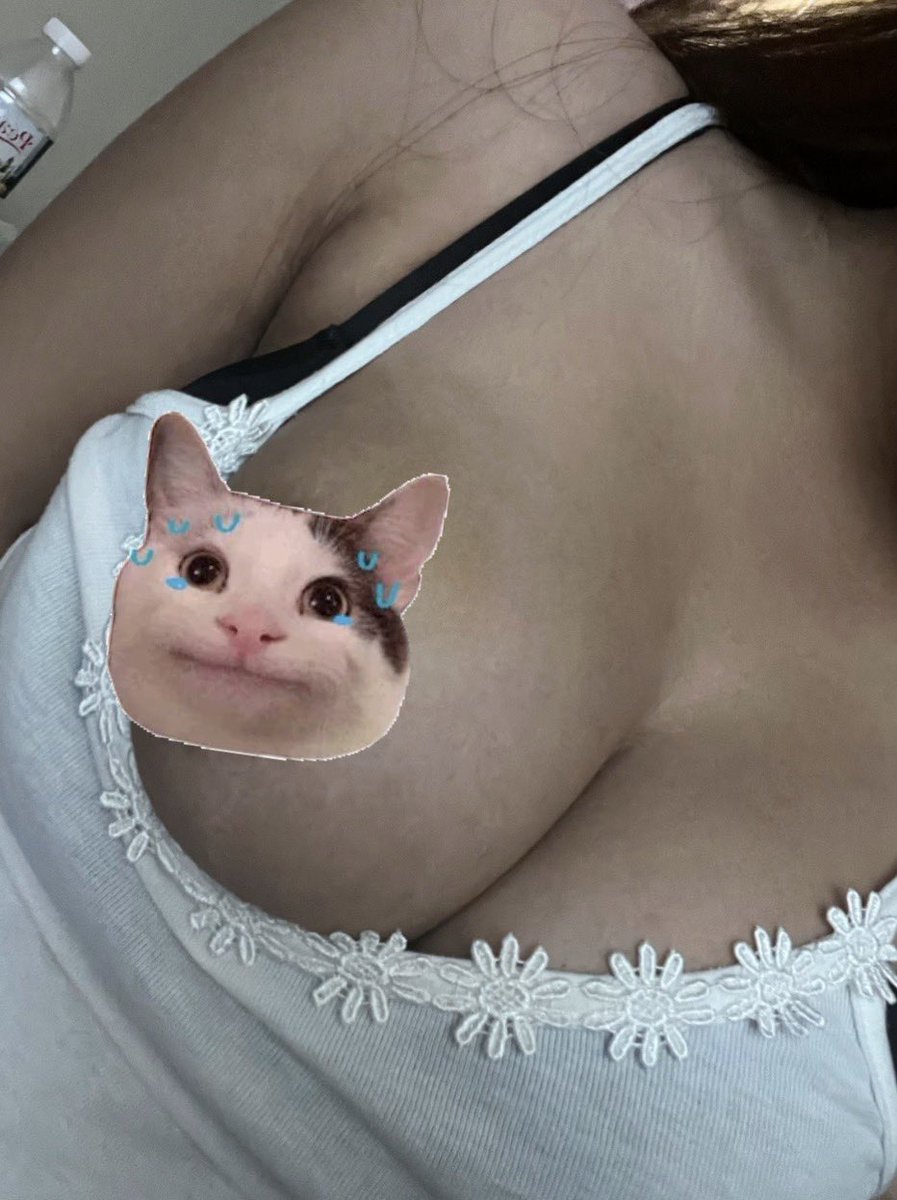 🐈‍⬛ tweet media