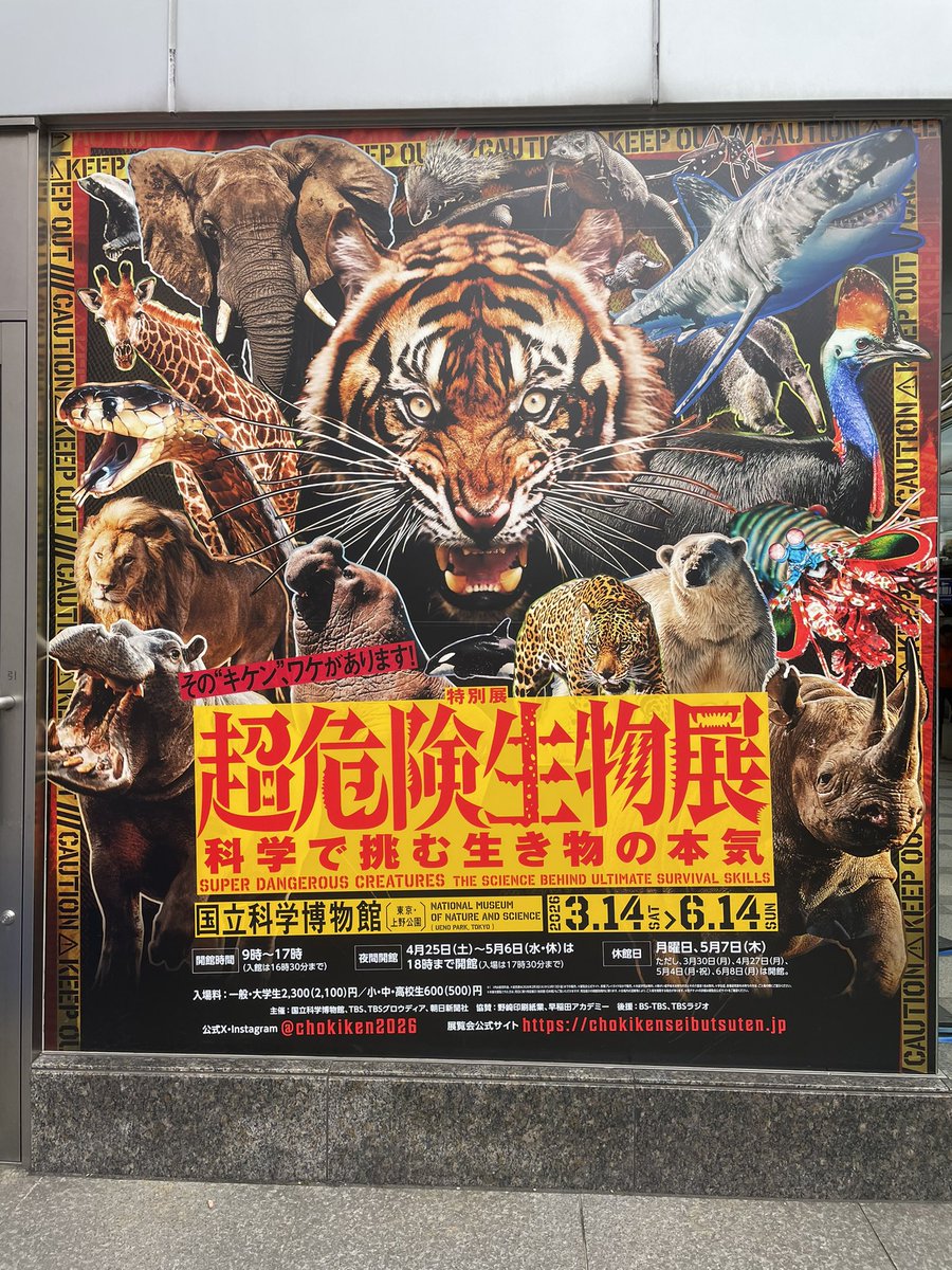 TXbom's tweet photo. 展示の仕方も工夫されてて充実した時間だった。
目に見える物理的な危険は分かりやすく怖いけど、目に見えない毒とか細菌とかウイルスの方が怖い。
インスリン様毒素を打ち込んで低血糖症状になったところを捕食する生き物がいるのが一番印象に残った。 https://t.co/pB9o9tiGfO