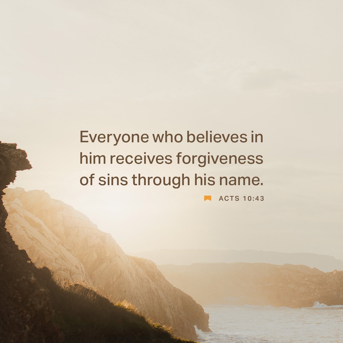 YouVersion Bible App tweet media