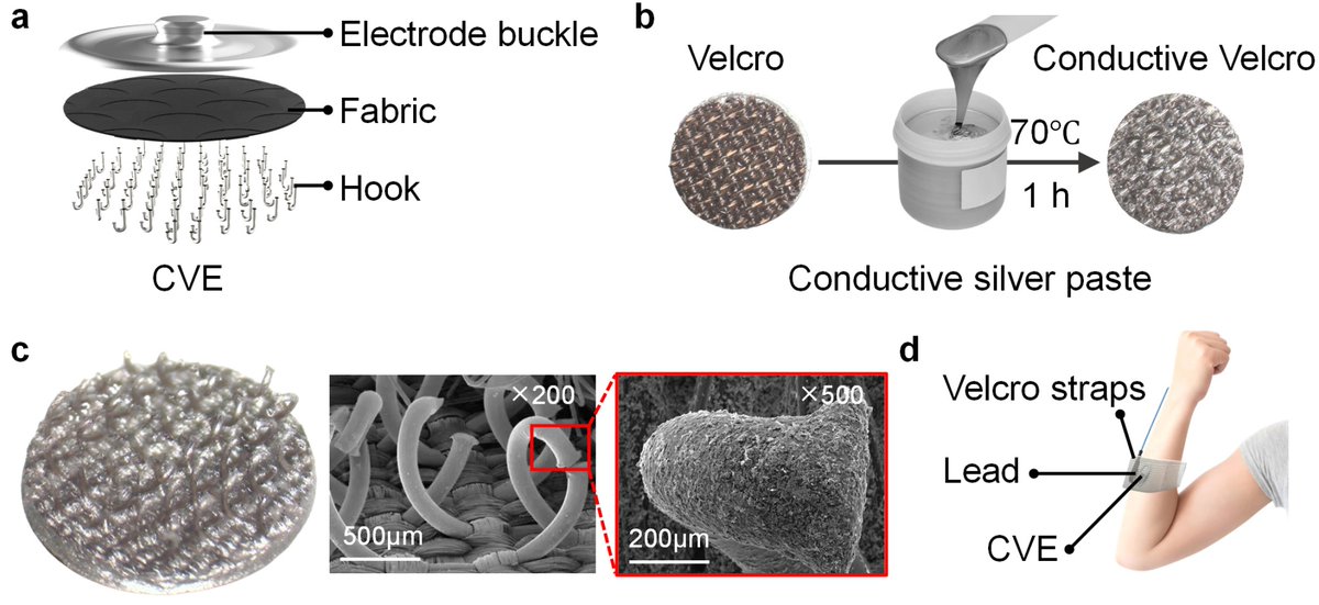 Biosensors_MDPI's tweet photo. 📣Call for Reading:
#Article
A Cost-Effective and Easy-to-Fabricate Conductive Velcro Dry Electrode for Durable and High-Performance Biopotential Acquisition
By Jun Guo, et al.
https://t.co/5rkLiG9Pql
#gesture_recognition #biosensor #open_access https://t.co/IBSYxEK5hQ
