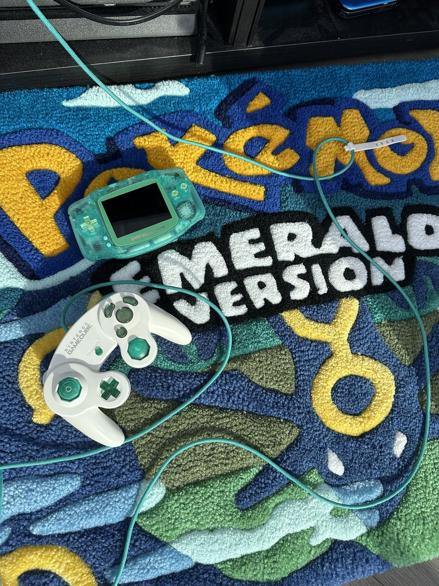 Snowball❄️🌨️☃️ tweet media