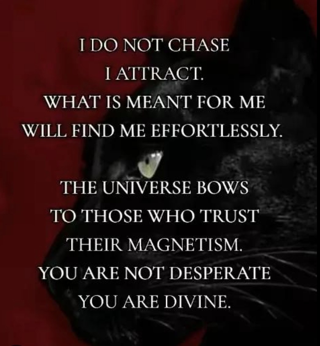 ihateclownz2's tweet image. It works.   Men love the chase. 🌟 #loveyourself #love #selfesteem