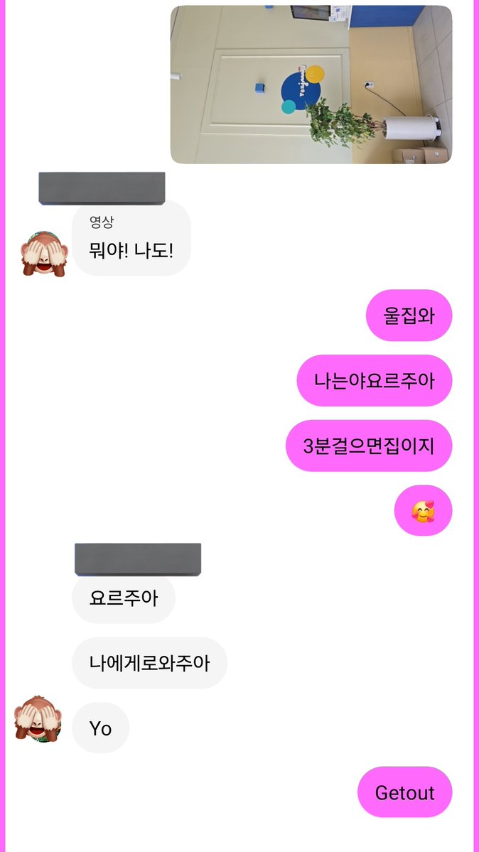 유자몽차 tweet media