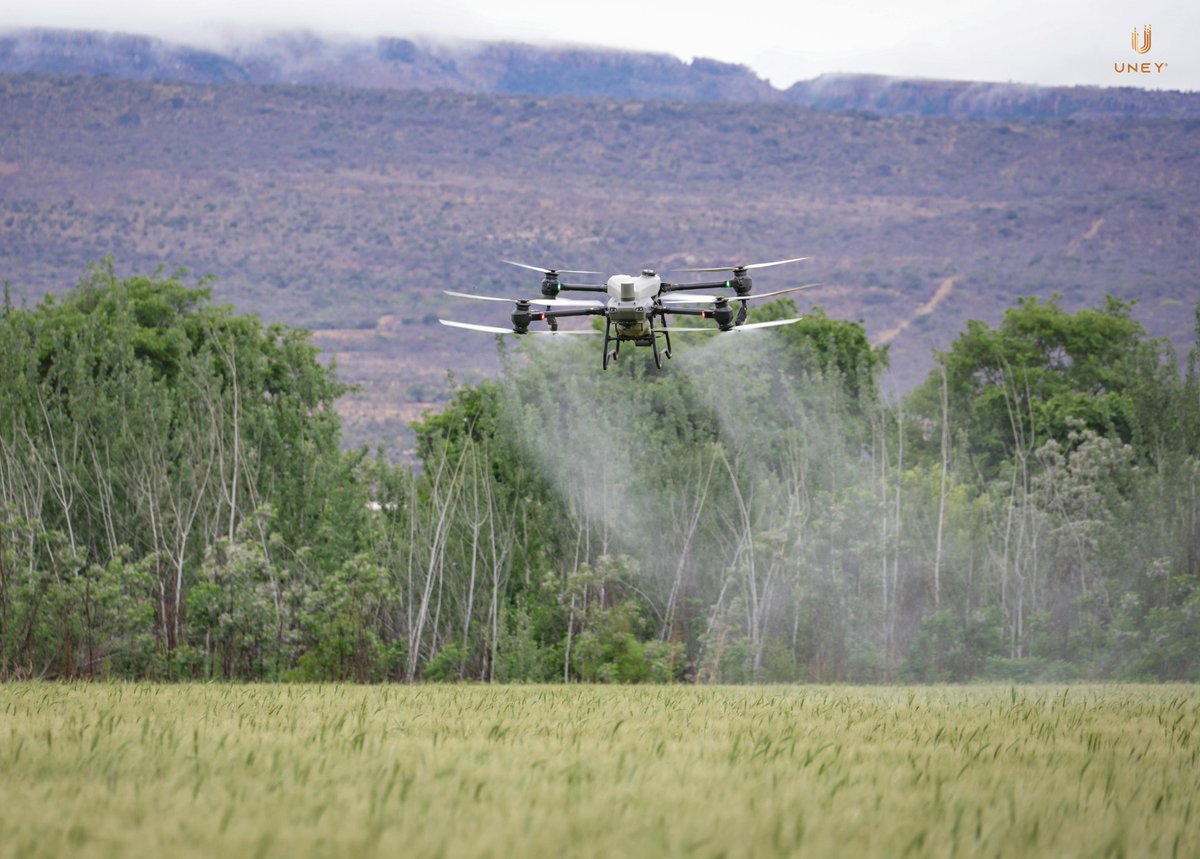 weareuney's tweet photo. Drones are standard — but the real shift is how missions are planned, repeated, and scaled.

With a 𝐦𝐢𝐬𝐬𝐢𝐨𝐧-𝐜𝐞𝐧𝐭𝐫𝐢𝐜 𝐩𝐥𝐚𝐭𝐟𝐨𝐫𝐦 like 𝐒𝐤𝐲𝐓𝐫𝐚𝐜𝐤:
1️⃣ Reusable missions
2️⃣ Hardware flexibility
3️⃣ Continuous improvement

Less guesswork. More precision. https://t.co/FFZVGAJLLX