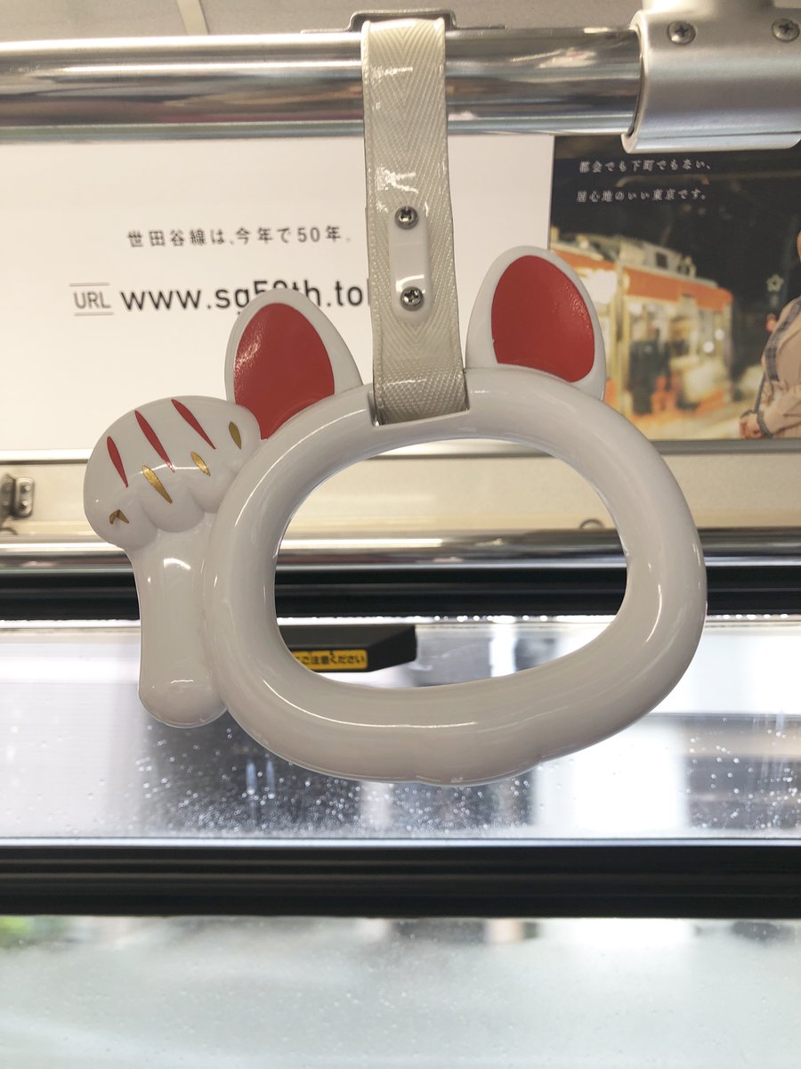 ぽんた tweet media