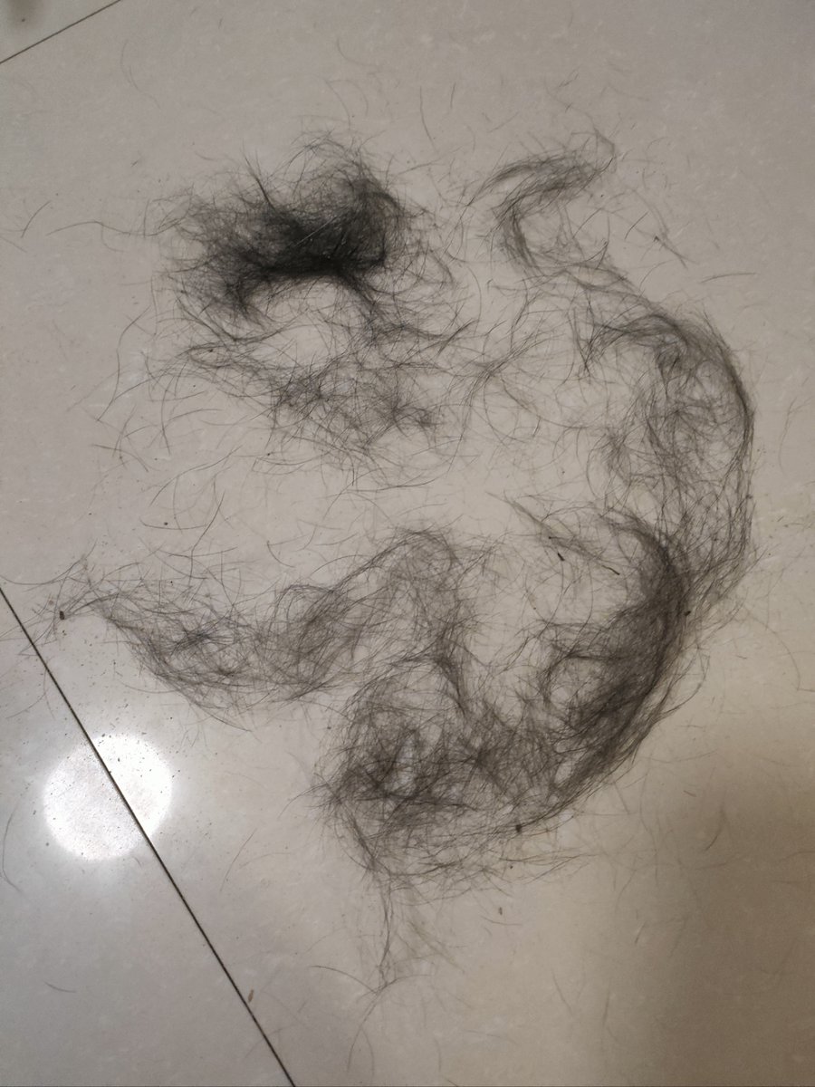 Christian Alberto tweet media