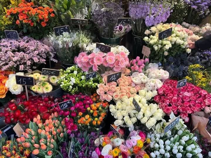 Lovandfear's tweet photo. May will look like this: a bloom of colors after a silent winter. https://t.co/jbjTcE7eao
