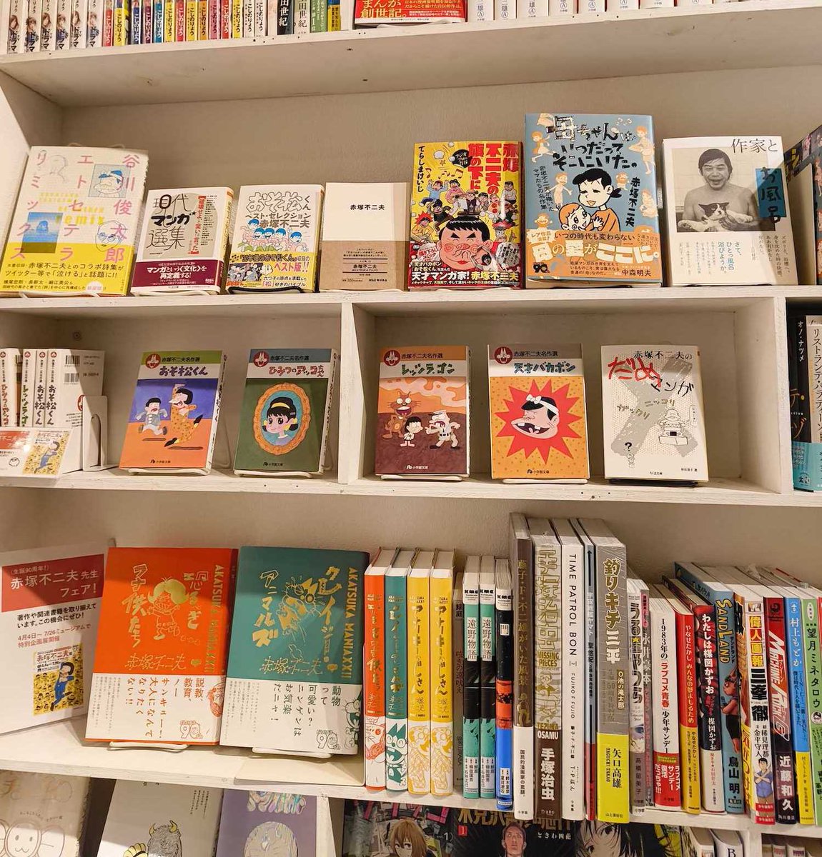 マンガナイト・マンガナイトBOOKS・E Gallery tweet media