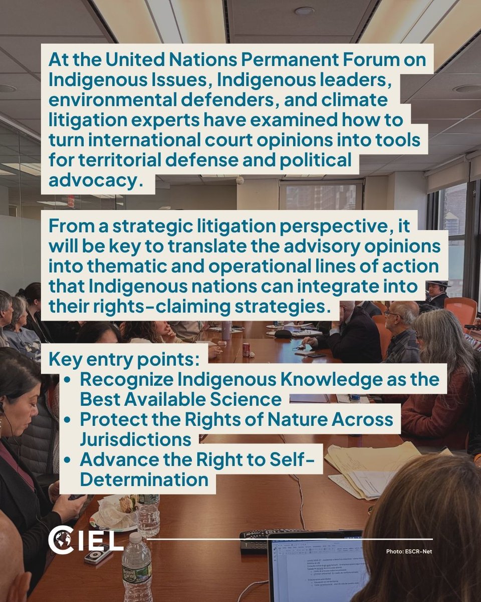Center for International Environmental Law tweet media