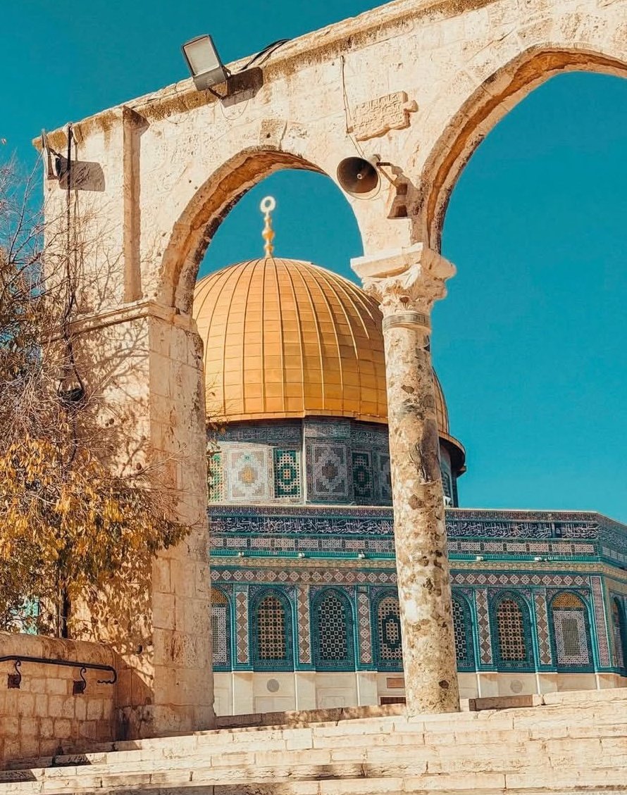 dyna_hasib99 𓂆🇵🇸 tweet media