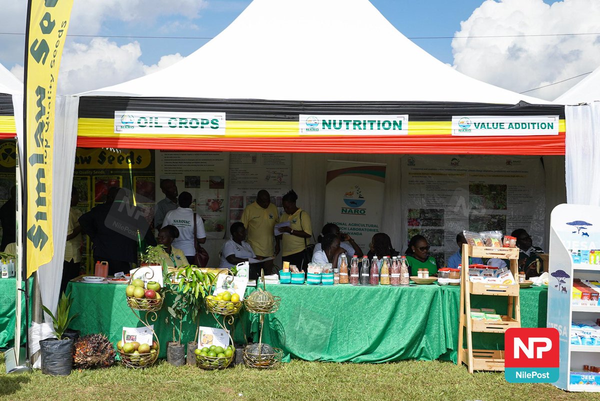 PHOTOS: H. E. <a href="/KagutaMuseveni/">Yoweri K Museveni</a> will preside over the launch of the NARO Anti-tick Vaccine and commission the production facility at the National Livestock Resources Research Institute in Nakyesasa Village along Gayaza–Zirobwe Road.

📸: <a href="/MawejjeGeoffrey/">Mawejje Geoffrey</a> 

#NBSUpdates