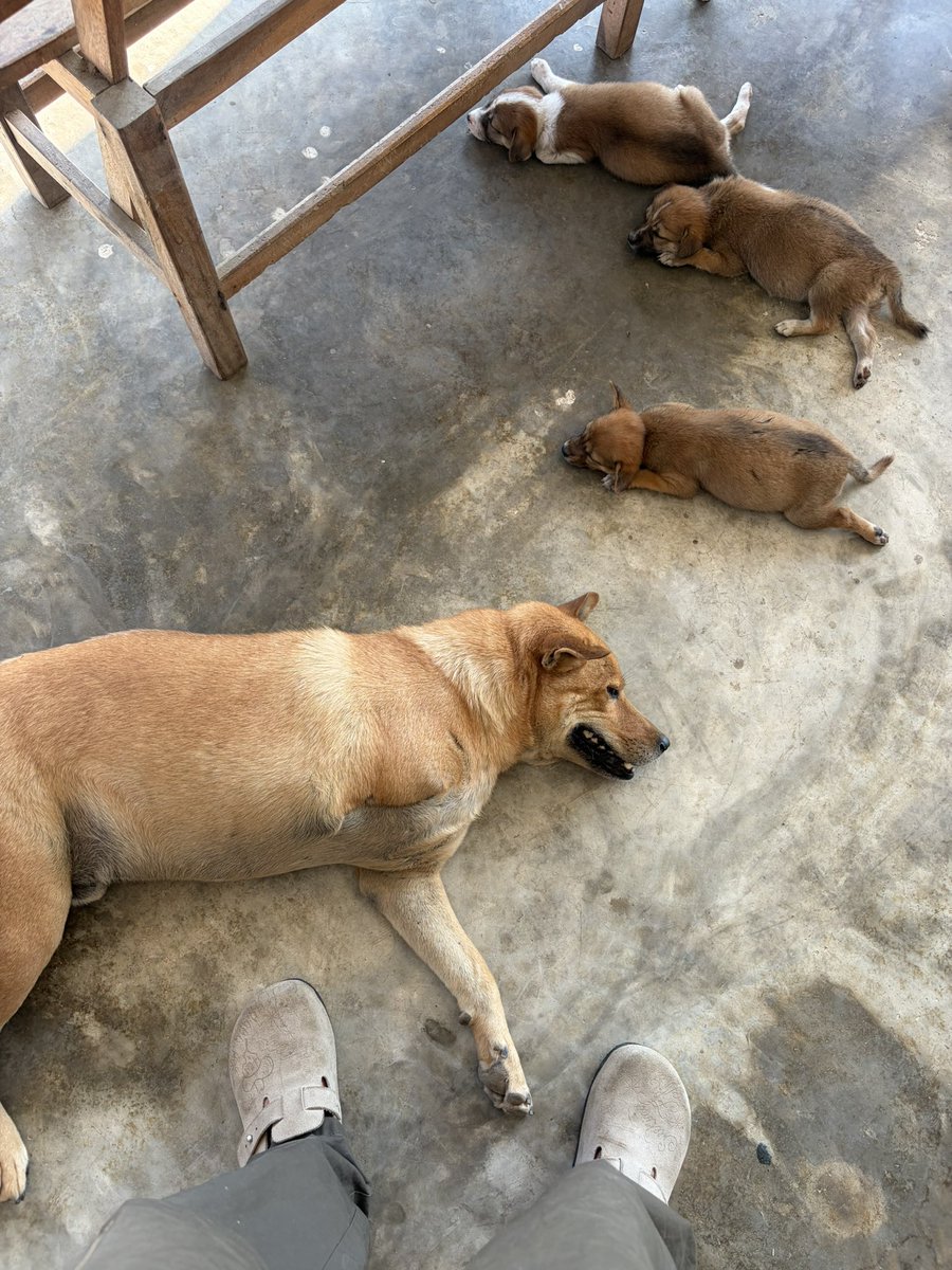 พี่ฉลามสามนาที 🪬 tweet media