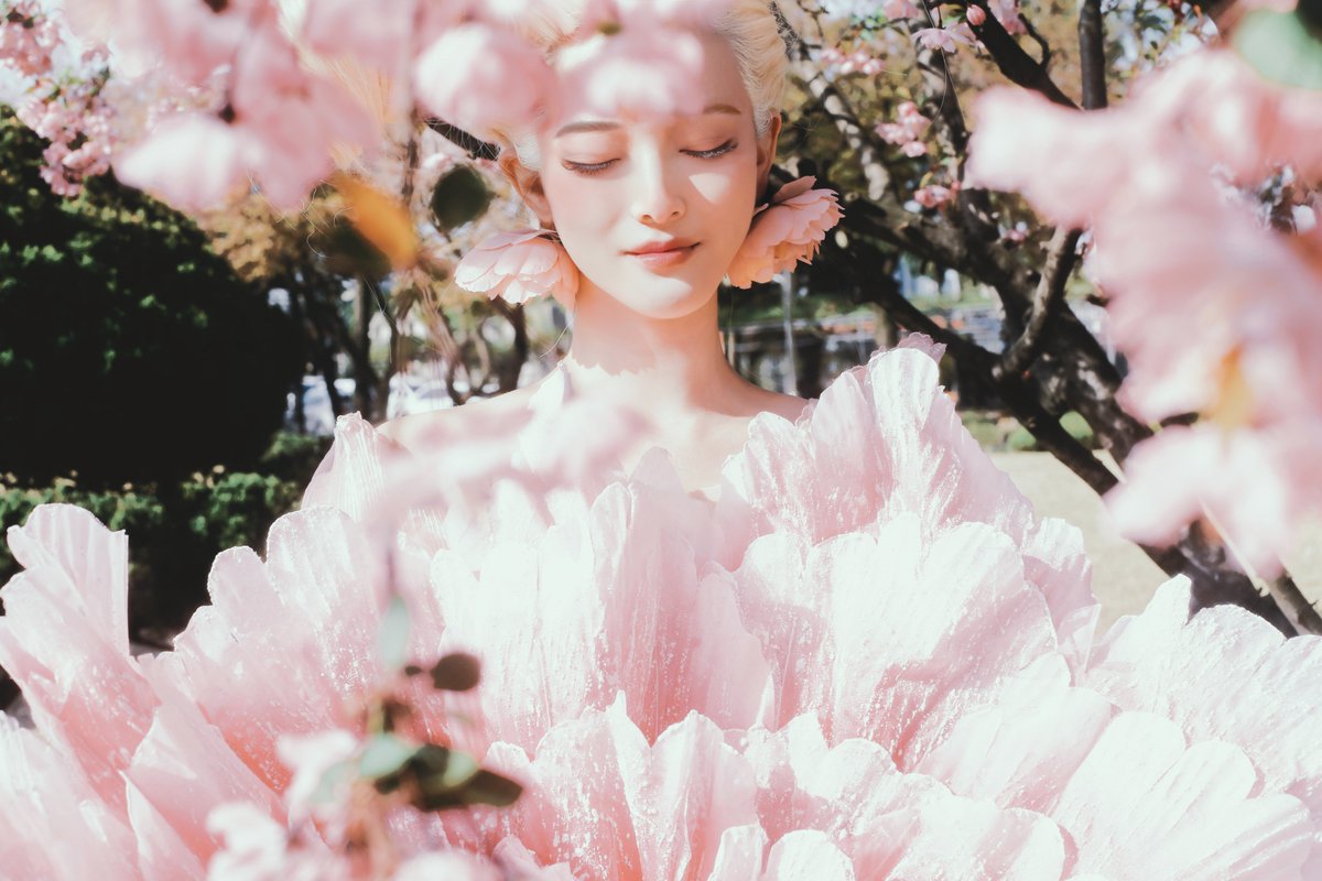 SOR_AN_pic's tweet photo. #カードキャプターさくら

flower @Myaaaaaaa4_27 https://t.co/mtRvKrcfd6