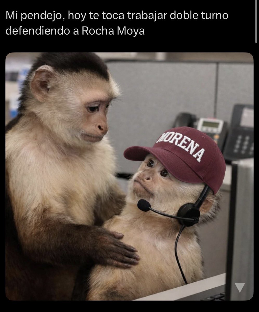 Calciatore tweet media