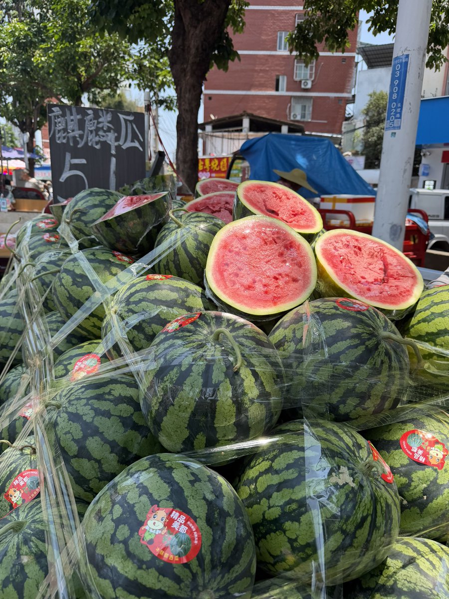 Coin凌X 🧠SENT tweet media