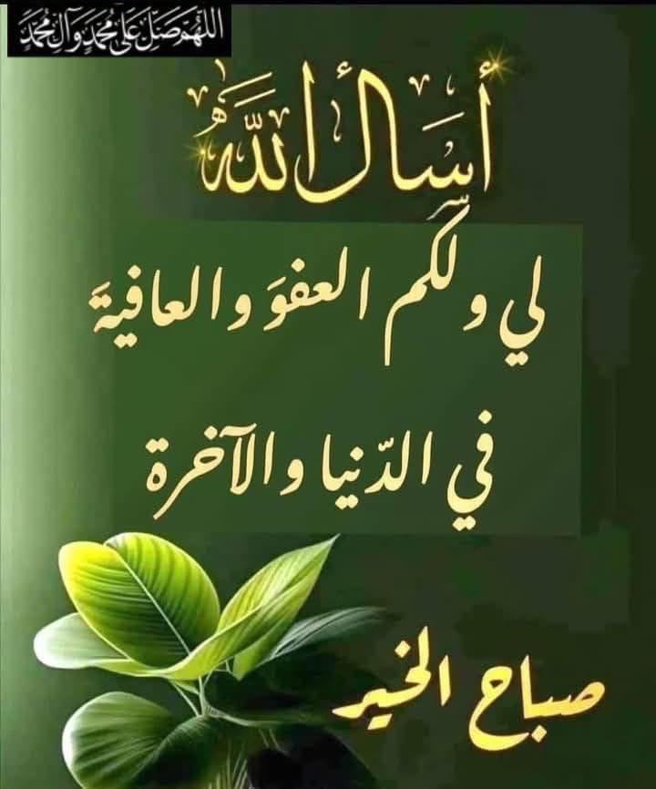 عيون بغداد tweet media