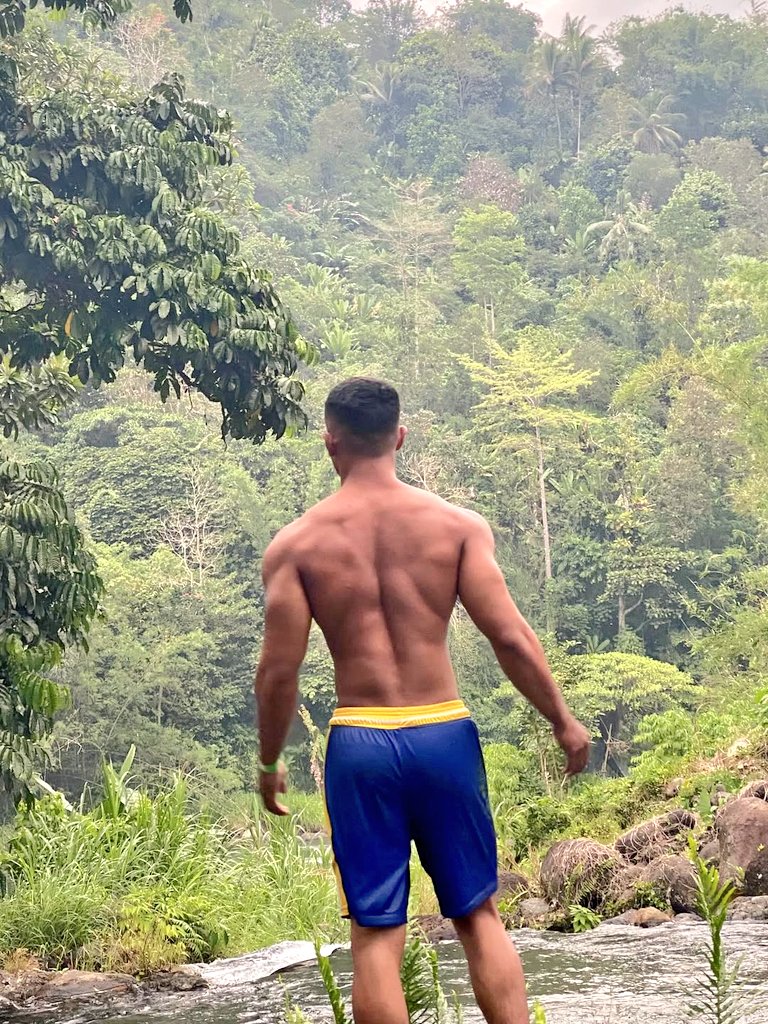 muscledailyid ⚜️ tweet media