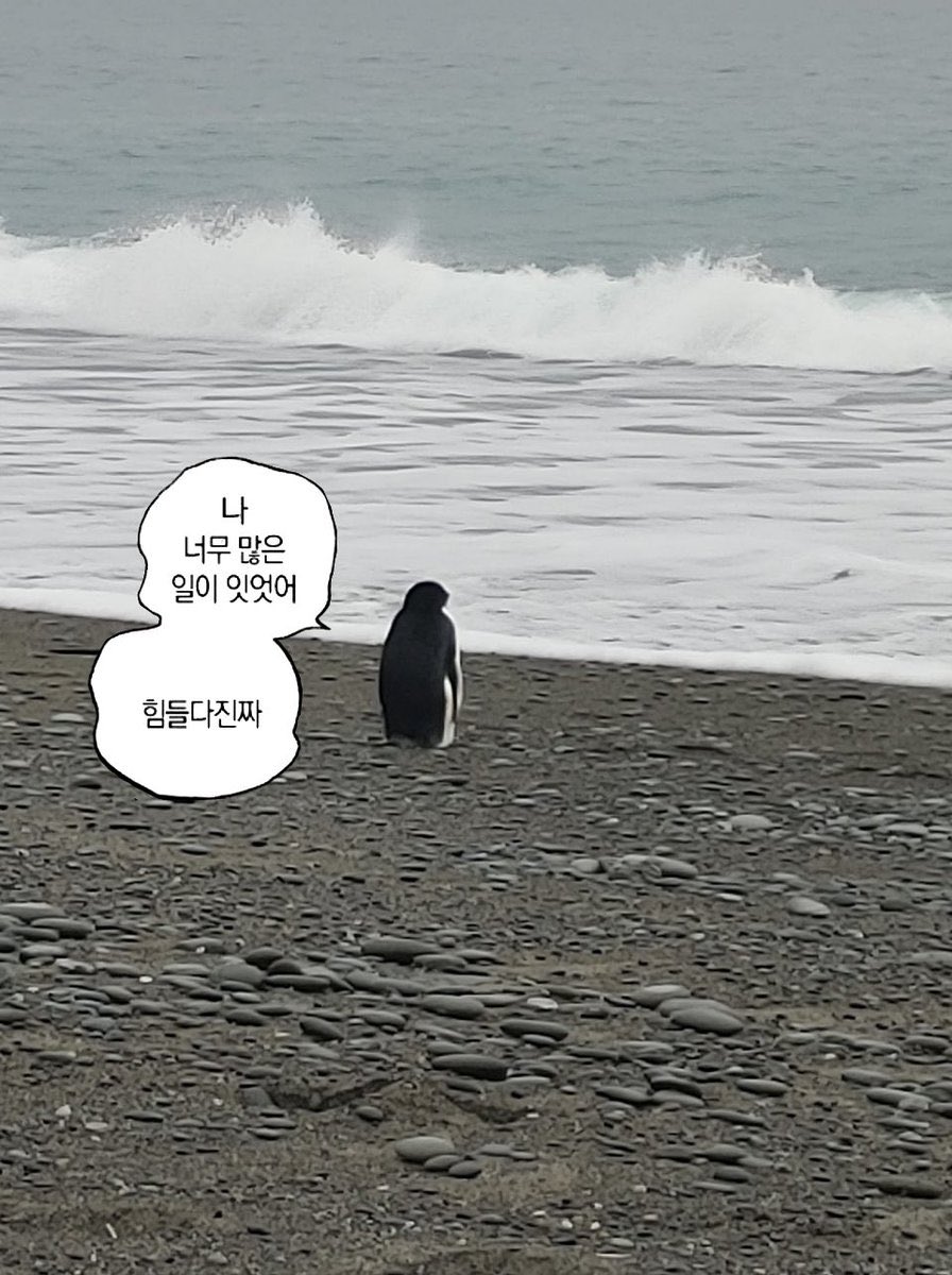 soaringing's tweet photo. 히보무새 .. 오늘 히보 보러 갑니다 .. https://t.co/gqWYEkvcHw