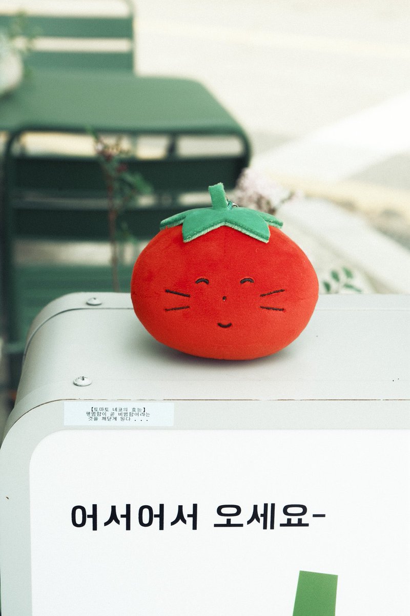 미도리작업실 tweet media