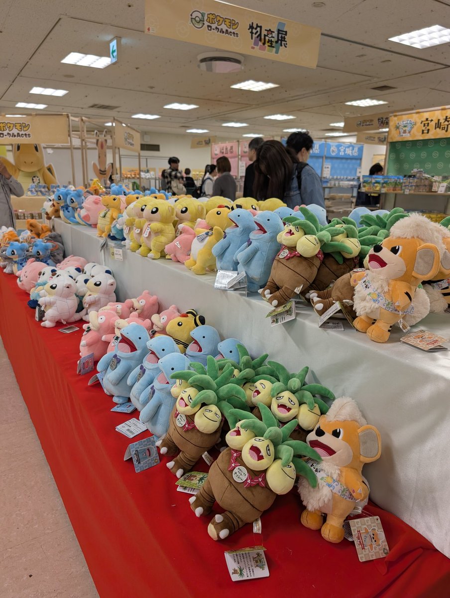 torinosuke_o's tweet photo. ご当地ポケぬいはサンドとアローラサンドだけ県名が書いてなくて悔しい。 https://t.co/tBaUnYAFr3