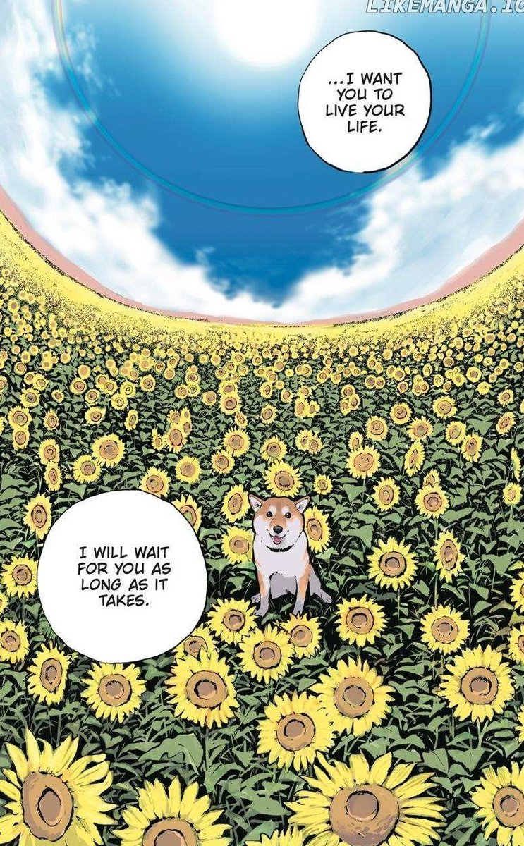 Evildeadfan102's tweet image. I read Doomsday With My Dog Chapter 43.5.
I finished Volume 4 and the series altogether.
Really fun and cute series 😊
#Doomsdaywithmydog #chapter43point5 #manga