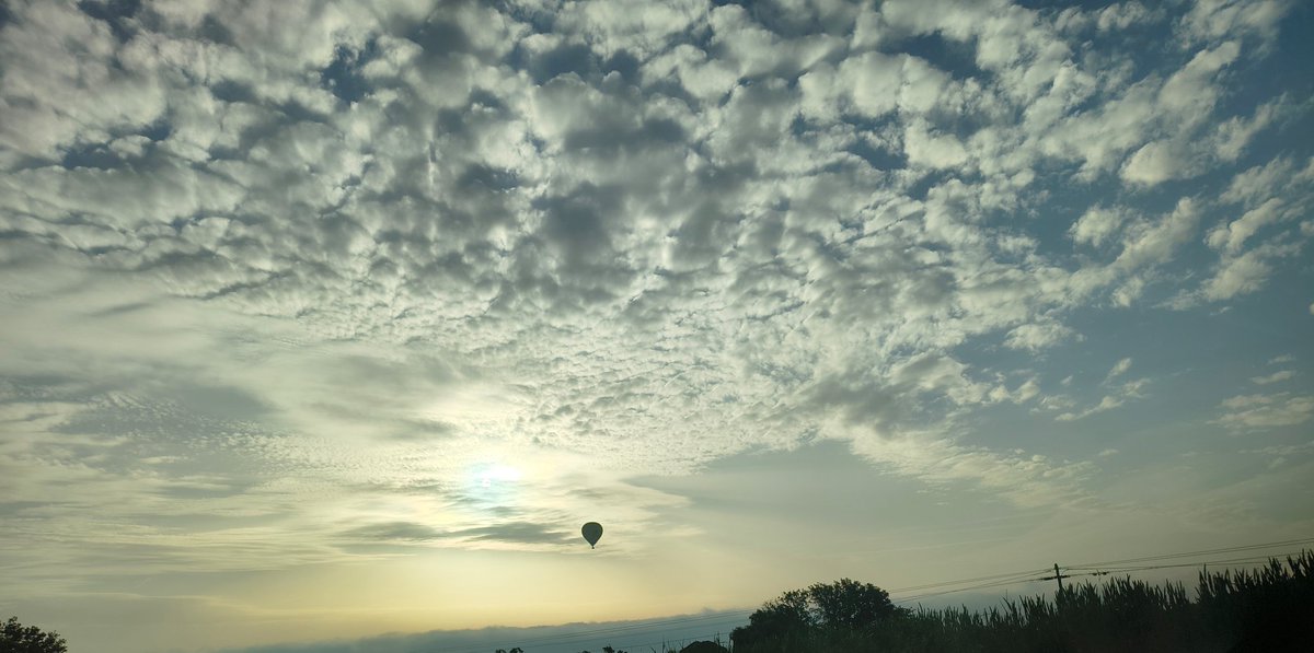 #bondia #eltemps3cat
