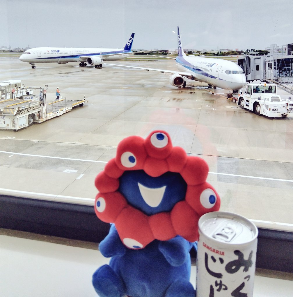 鼻づまりじぇみ子⊿³ tweet media