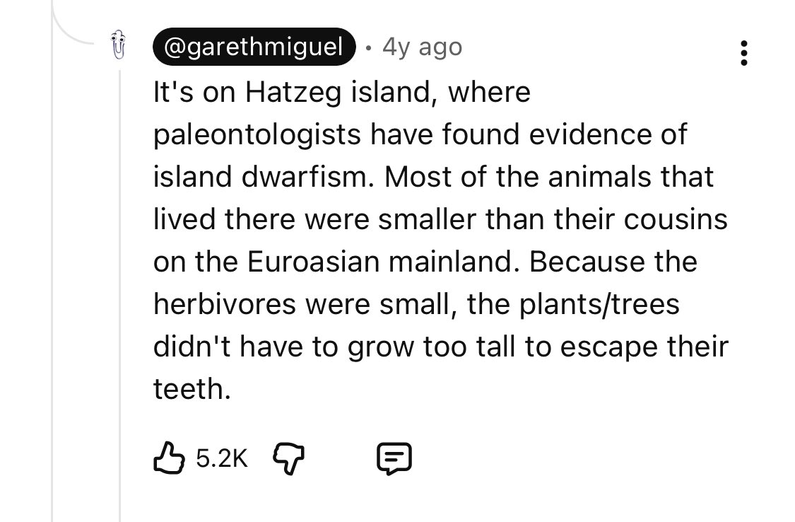 Ter Archive tweet media