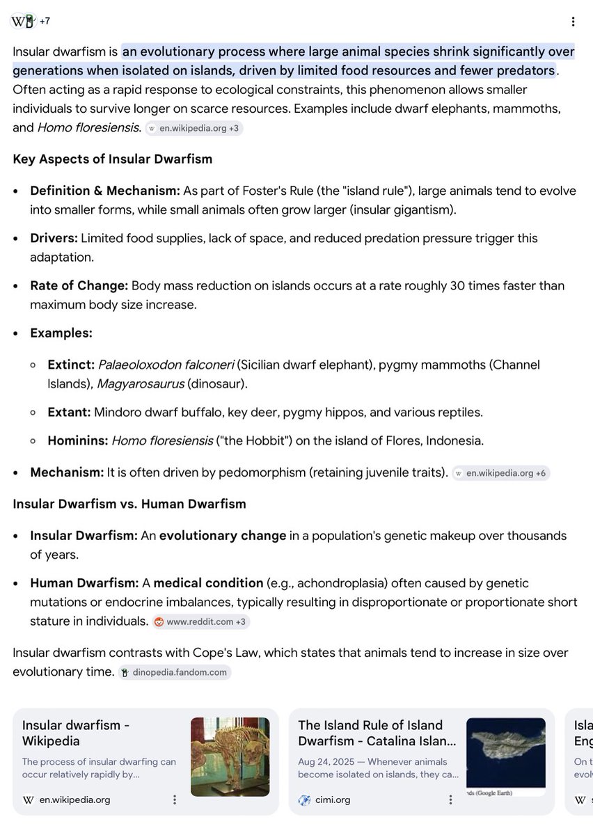 Ter Archive tweet media