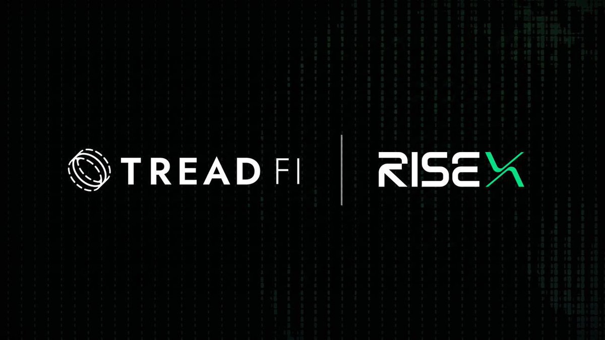 Damm.rise tweet media