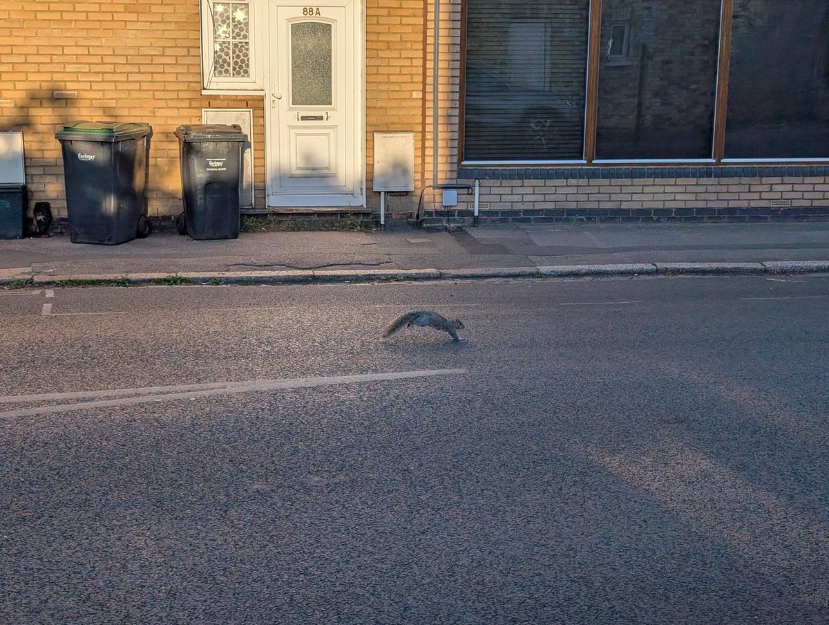 ねおぽん tweet media