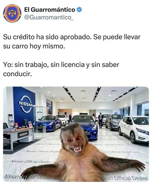 Ismael Romero tweet media