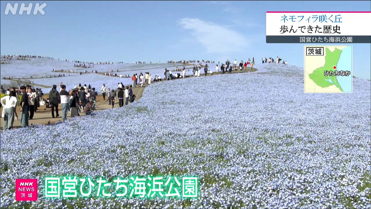 NHK水戸放送局 on X: 