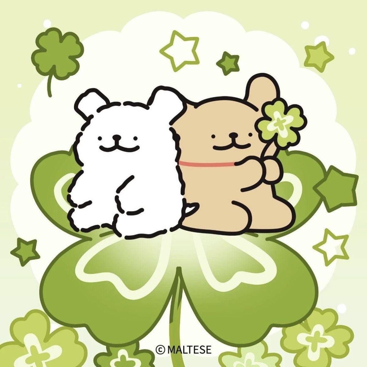 쟤이뽀뽀 tweet media