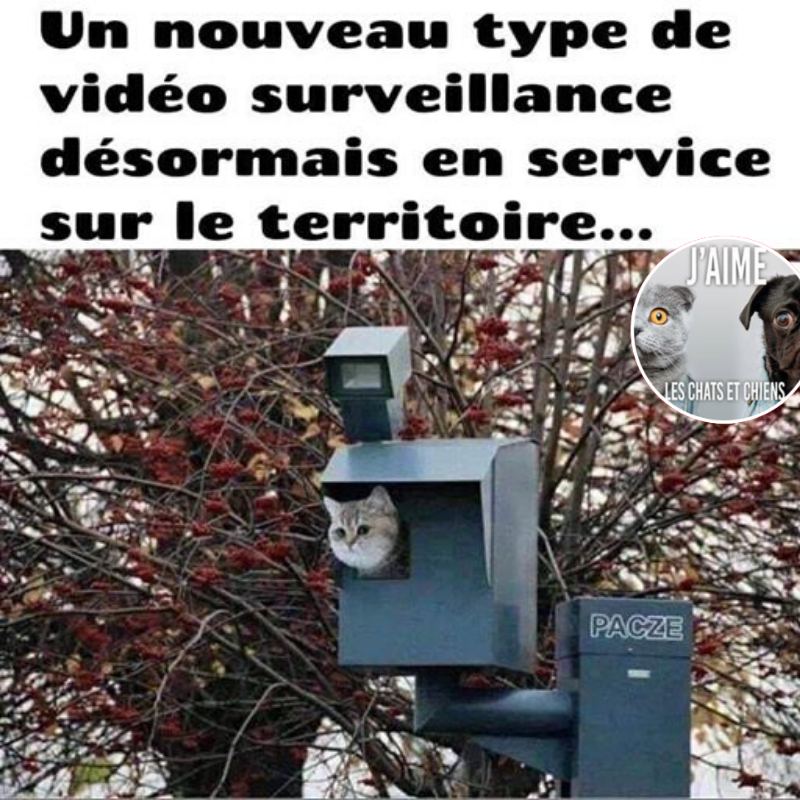 🇺🇦 Beguin-chat 🇲🇫 🇬🇧 tweet media